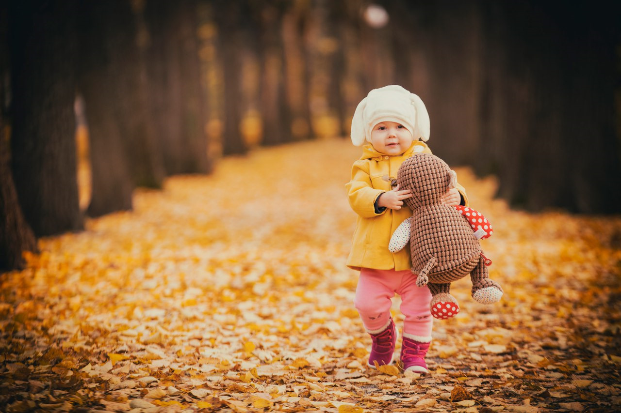 великий устюг осень. осень выдалась. мс улыбочка осенний грув. осень выдалась. великий новгород осень.