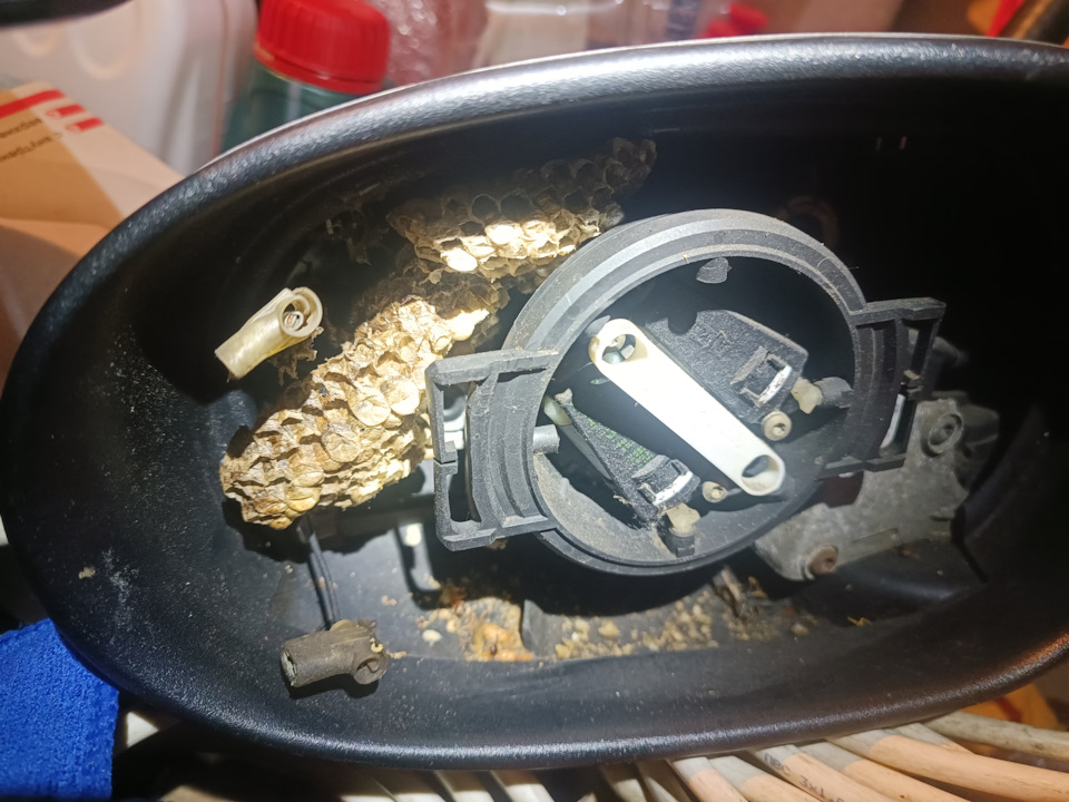 Хорошо что жители оказались мертвы, ато получил бы мёда впридачу. — Jaguar X-Type