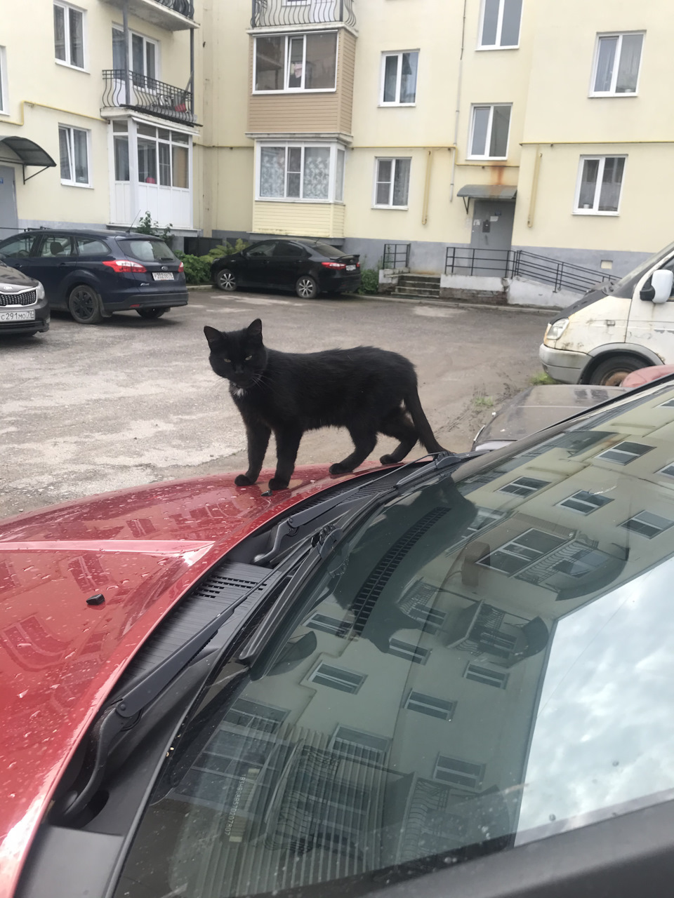 Замена масла в двс — Dodge Caliber, 2 л, 2006 года | расходники | DRIVE2