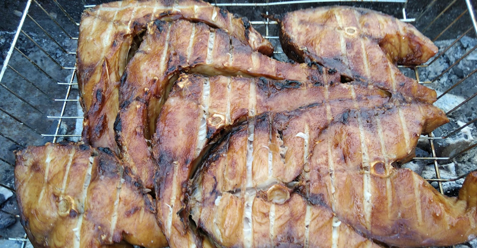 сазан на углях на решетке рецепт с фото. Смотреть фото сазан на углях на решетке рецепт с фото. Смотреть картинку сазан на углях на решетке рецепт с фото. Картинка про сазан на углях на решетке рецепт с фото. Фото сазан на углях на решетке рецепт с фото сазан на углях на решетке рецепт с фото. Смотреть фото сазан на углях на решетке рецепт с фото. Смотреть картинку сазан на углях на решетке рецепт с фото. Картинка про сазан на углях на решетке рецепт с фото. Фото сазан на углях на решетке рецепт с фото