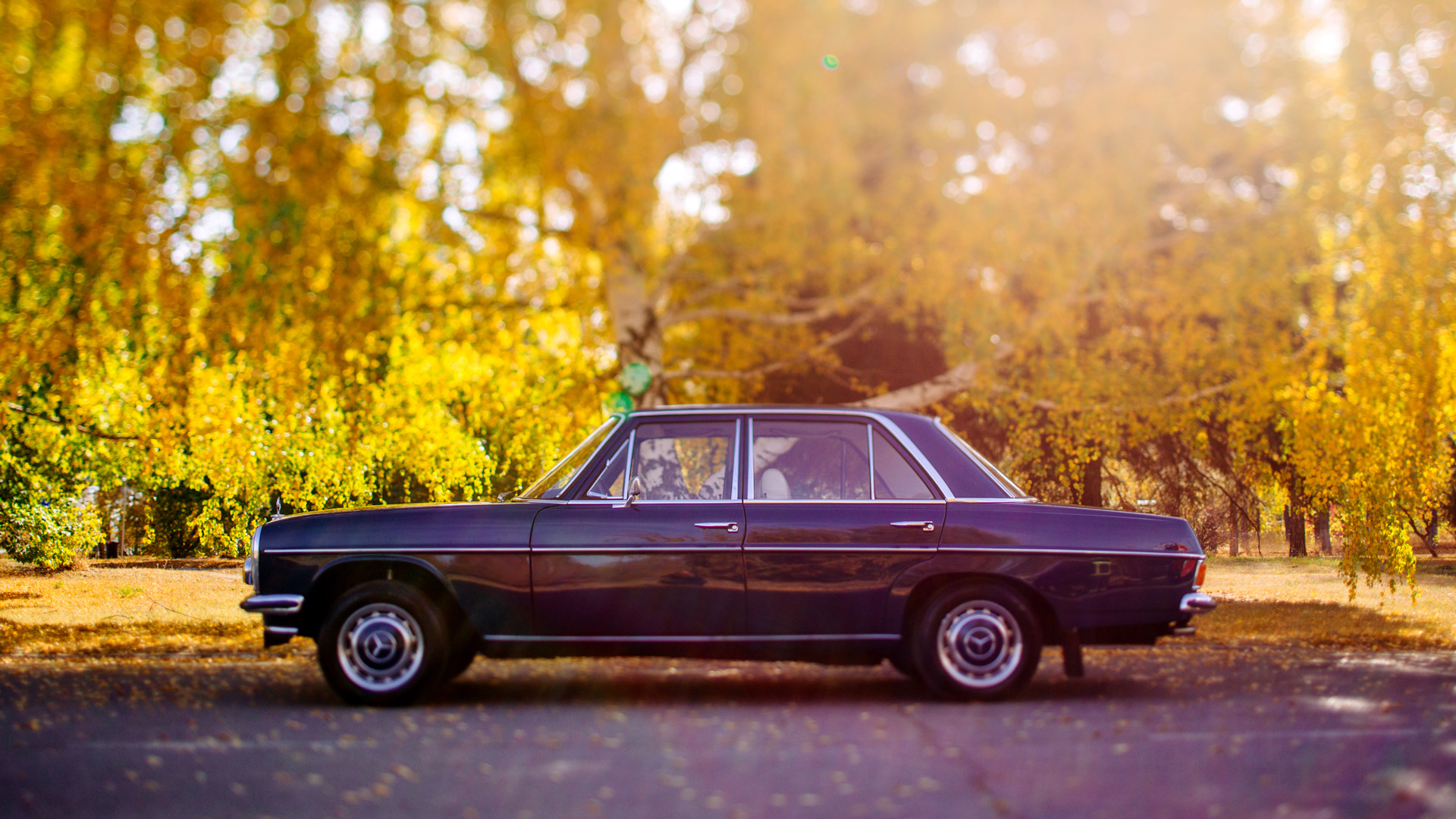 Мерседес W 115 — Mercedes-Benz W115, 2,2 л, 1973 года | фотография | DRIVE2