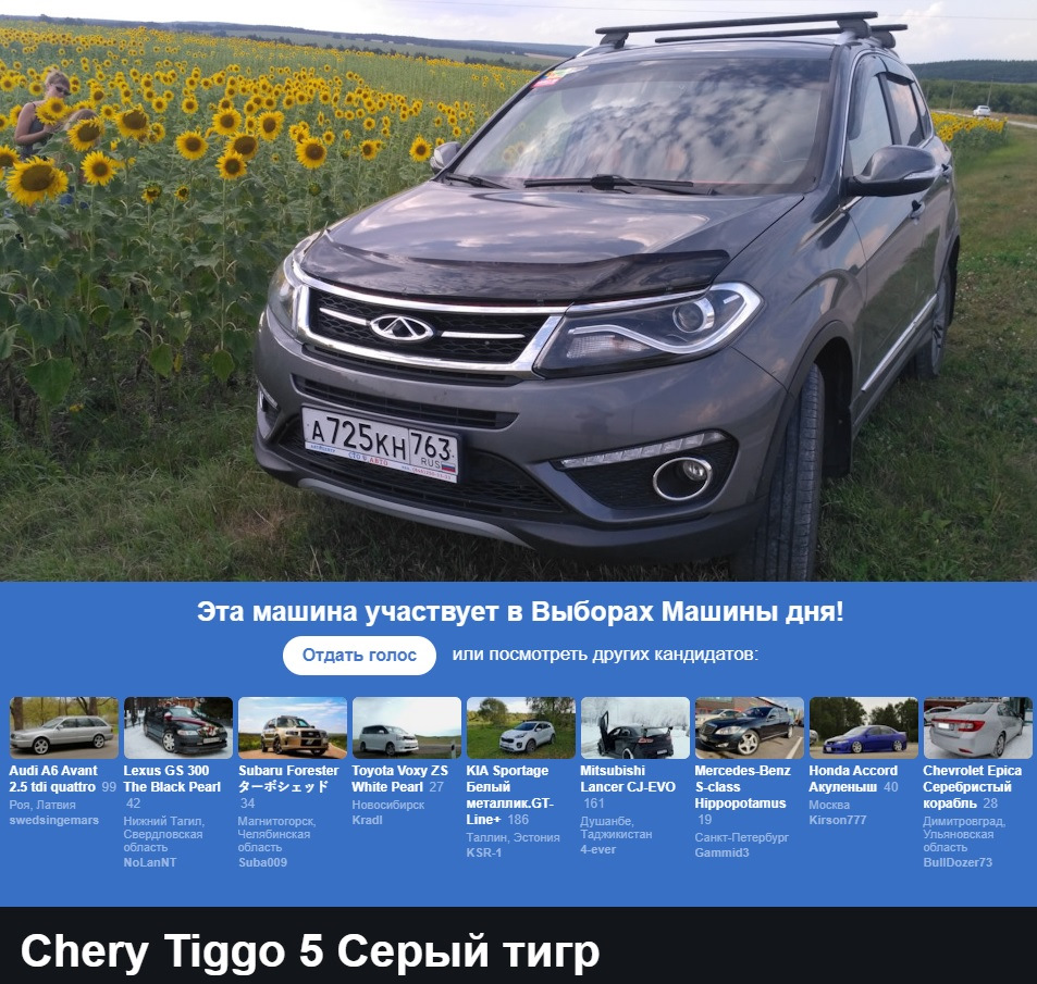 Сто лет не был на выборах — Chery Tiggo 5, 2 л, 2017 года | рейтинг и  продвижение | DRIVE2