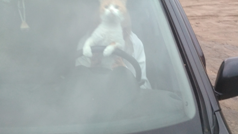 Пропали поворотники и "аварийка" — Mitsubishi Outlander (1G), 2,4 л ...