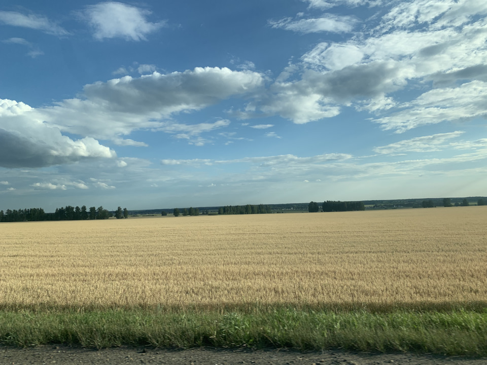 Photo from the logbook Toyota Highlander (XU50)