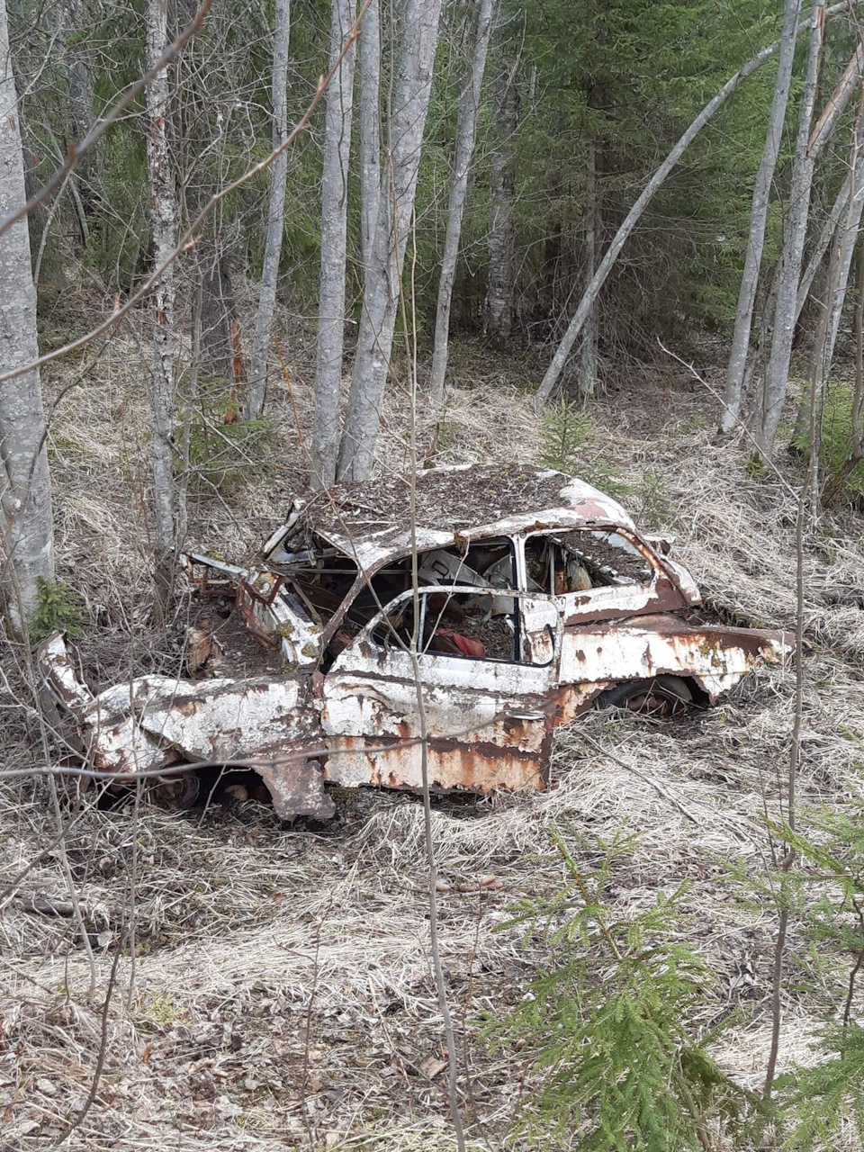 Skoda Octavia 1963. Finland. — Сообщество «Брошенные Машины» на DRIVE2