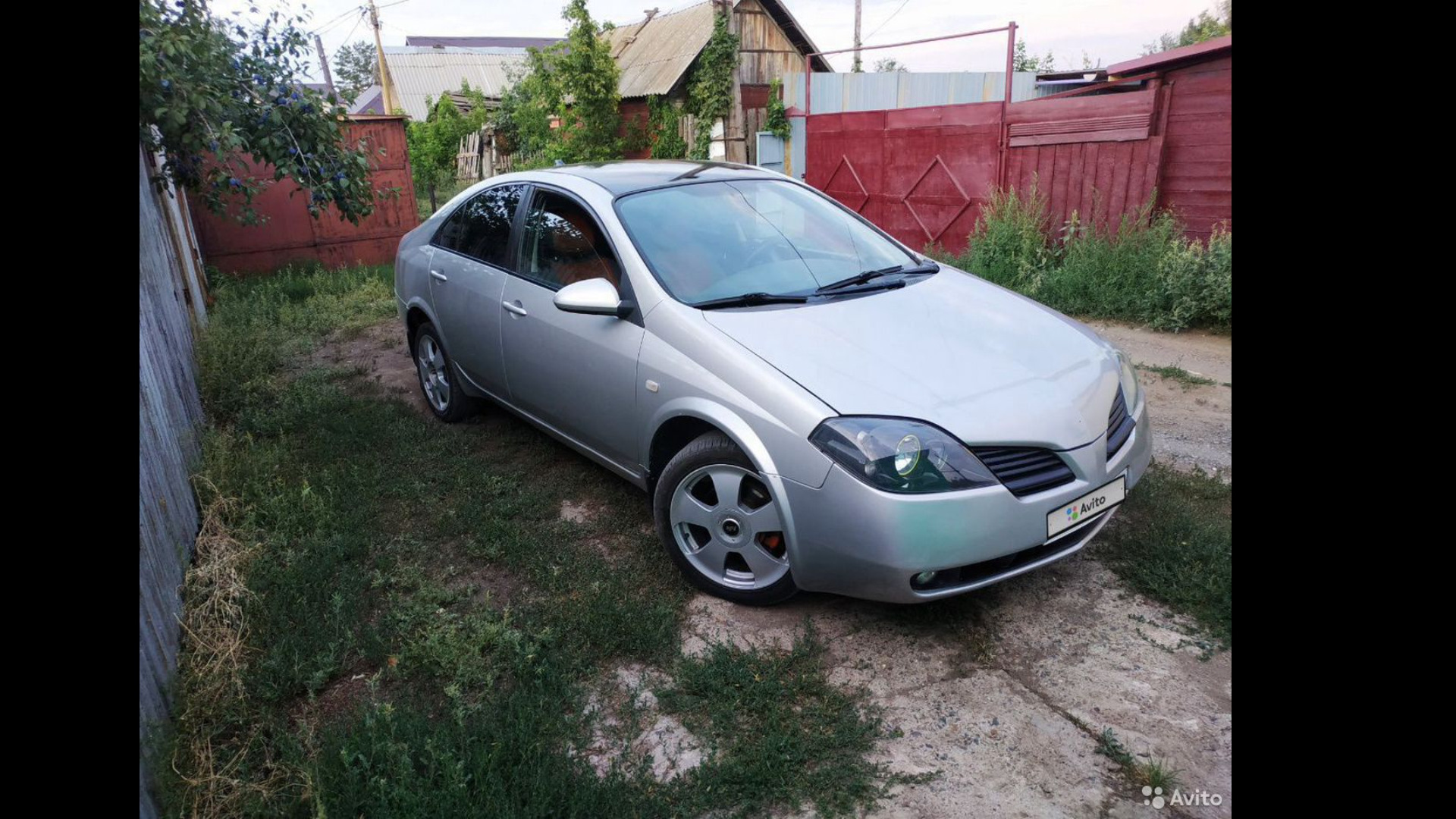 Nissan Primera (P12) 1.6 бензиновый 2006 | Акула на DRIVE2