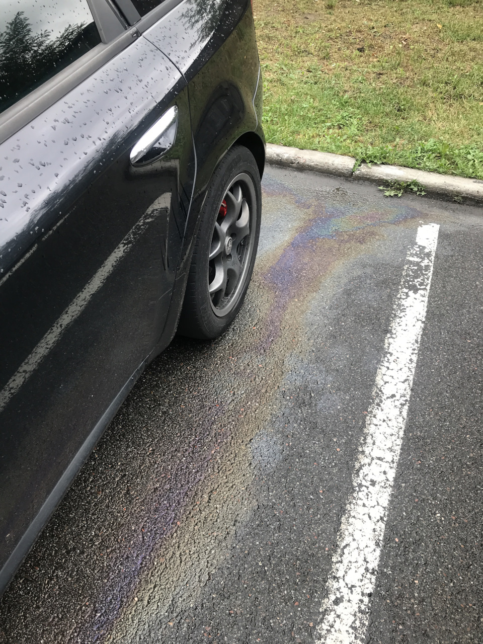 Фото в бортжурнале Alfa Romeo 159 Sportwagon