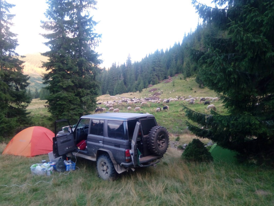 Установка парктроников + камера. — Volkswagen Jetta VI, 1,4 л., 2011 ...