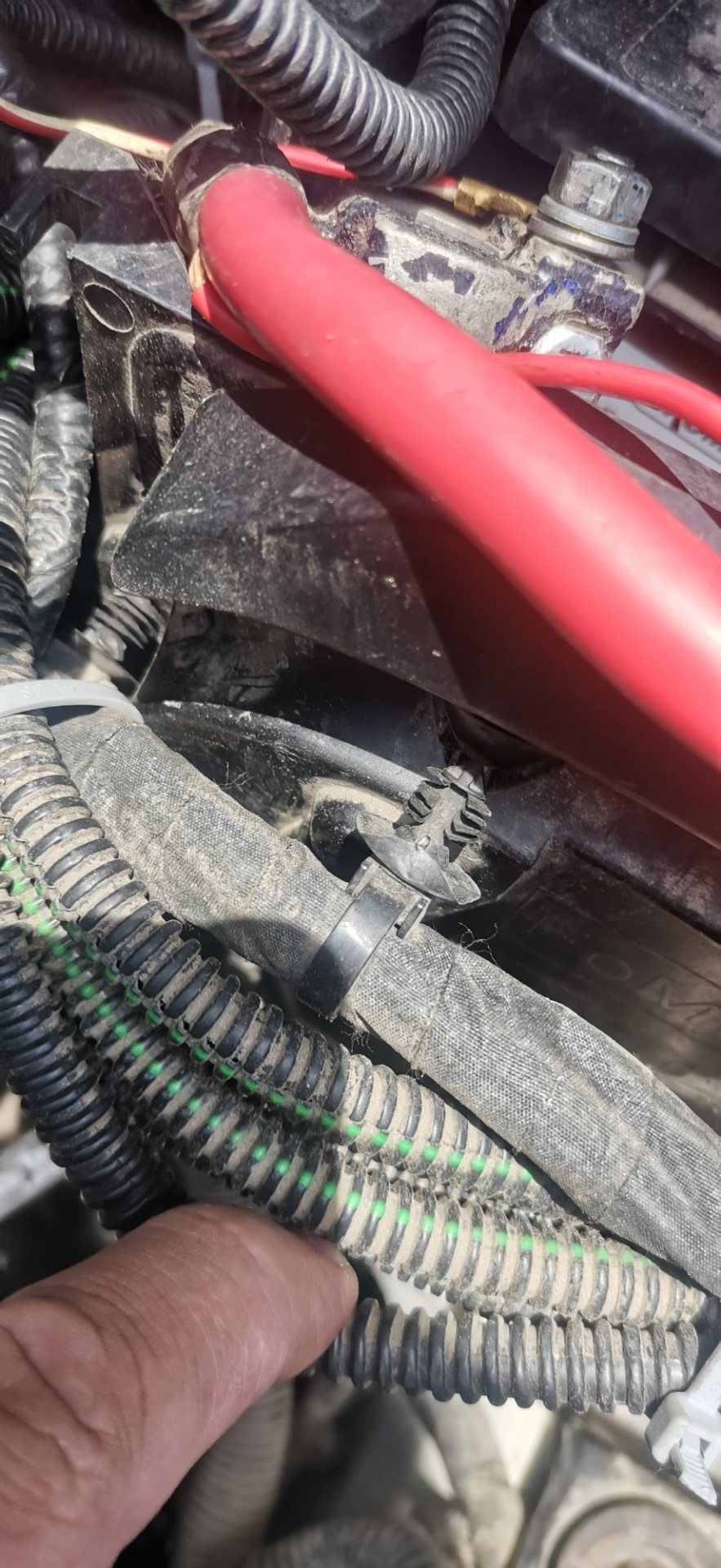 Фото в бортжурнале Ford Kuga (2G)