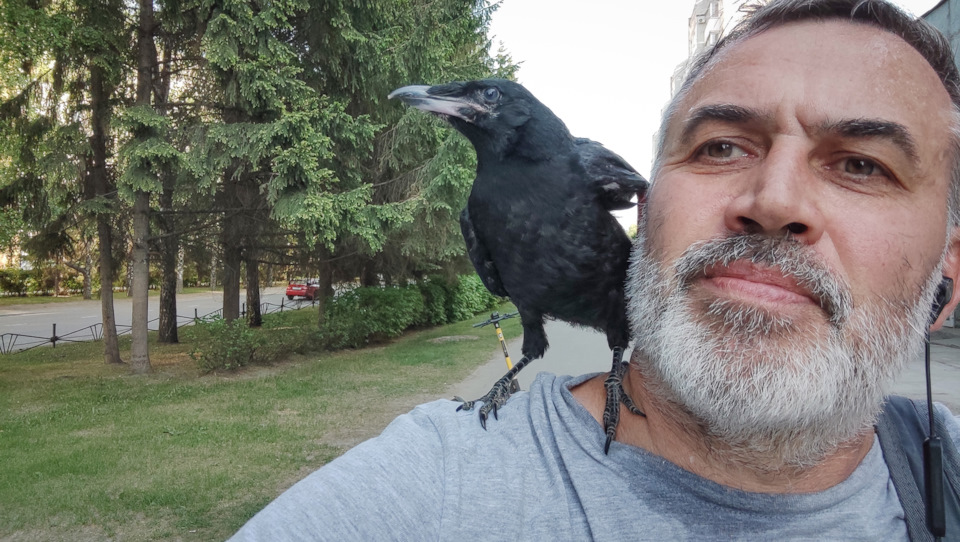 А мог бы друга найти… ?? — DRIVE2