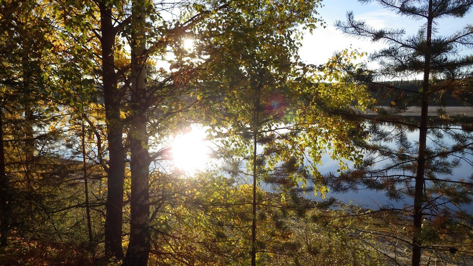 Осень 2013 год. Пинега осень вечер. Осень на Пинеге фото.