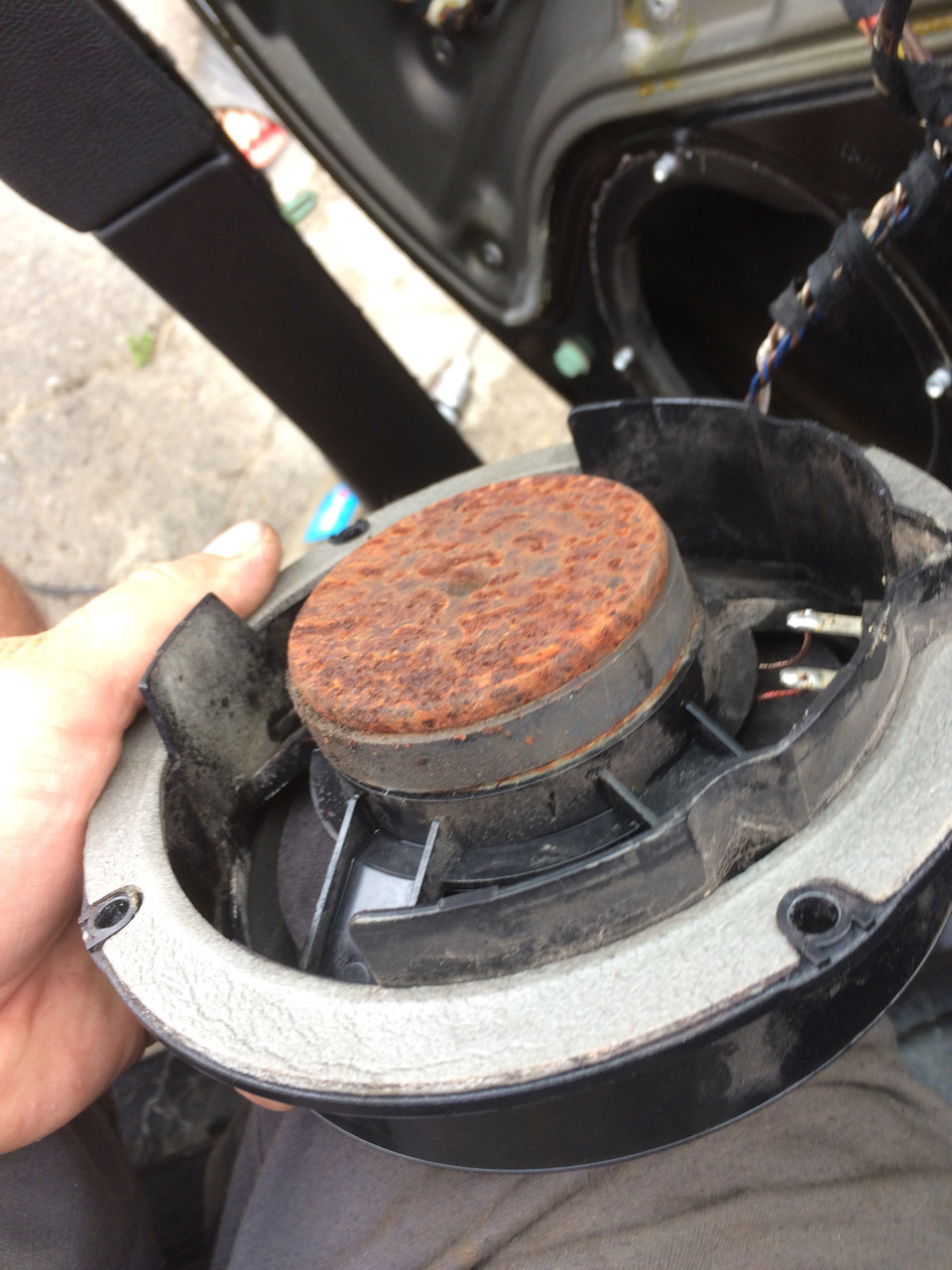 Хрип динамика — Skoda Octavia A5 Mk2, 1,9 л, 2005 года | автозвук | DRIVE2