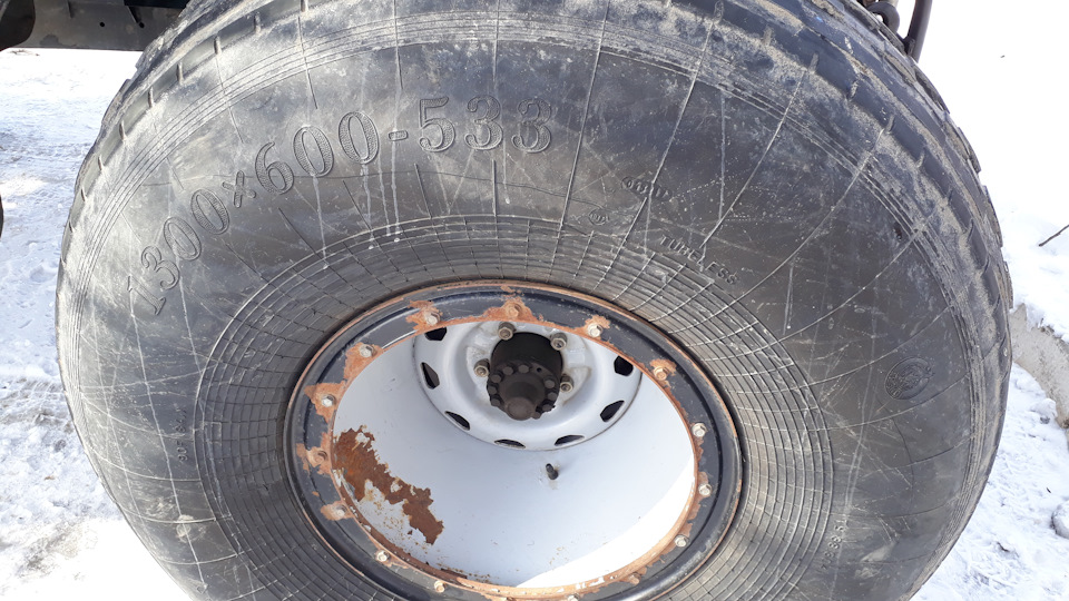 Другая лошадка — Сообщество «Фотография» на DRIVE2