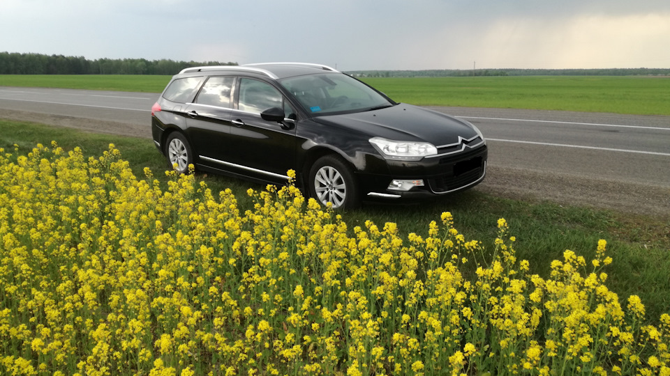 ТОТАЛ FLUIDE LDS или DA — Citroen C5 (2G), 2 л, 2011 года | другое | DRIVE2