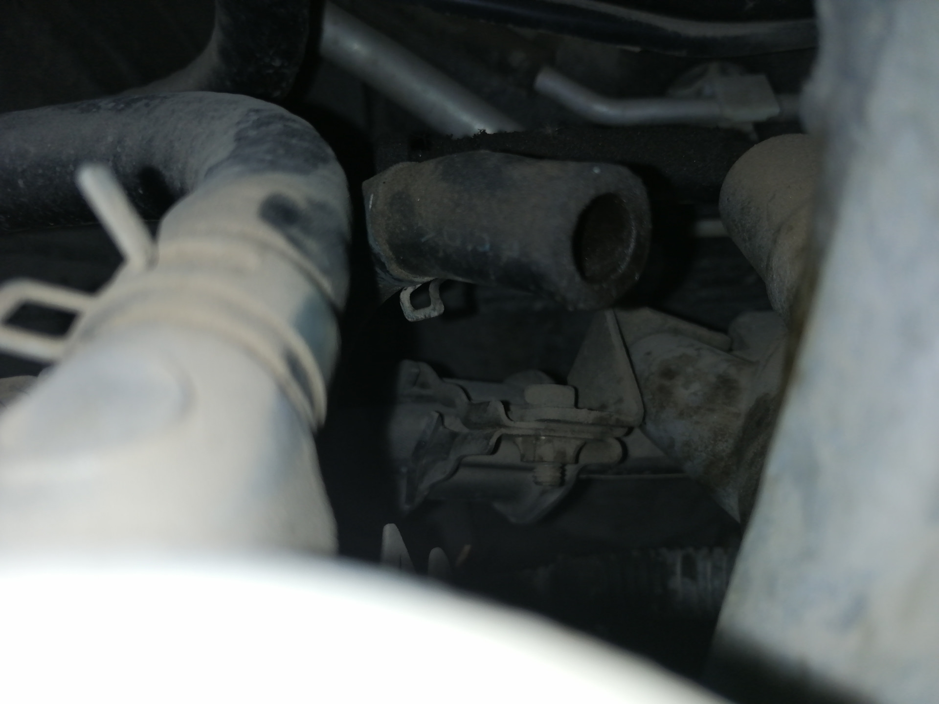 Эмульсия на крышке заливной горловины. — Nissan Teana (J31), 2,4 л ...