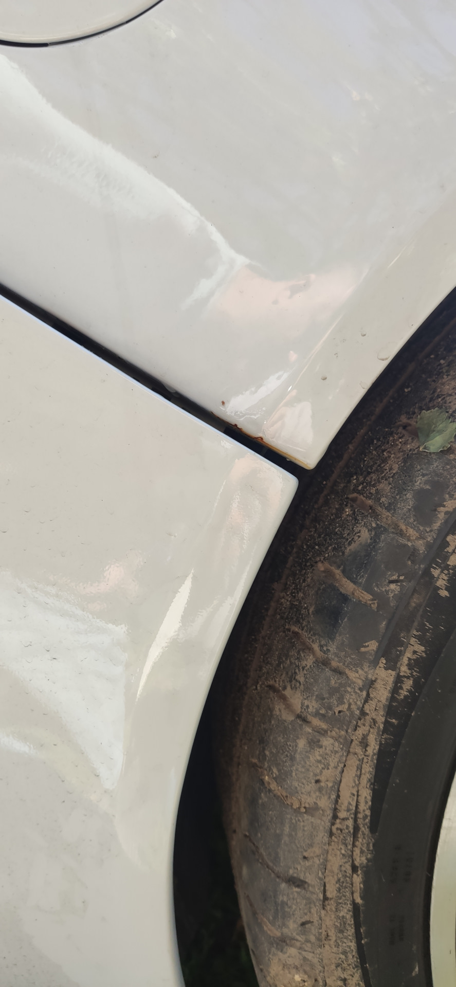 190.Кузов: сколы/дефекты/ржавчина — Opel Insignia (1G), 1,6 л, 2014 ...