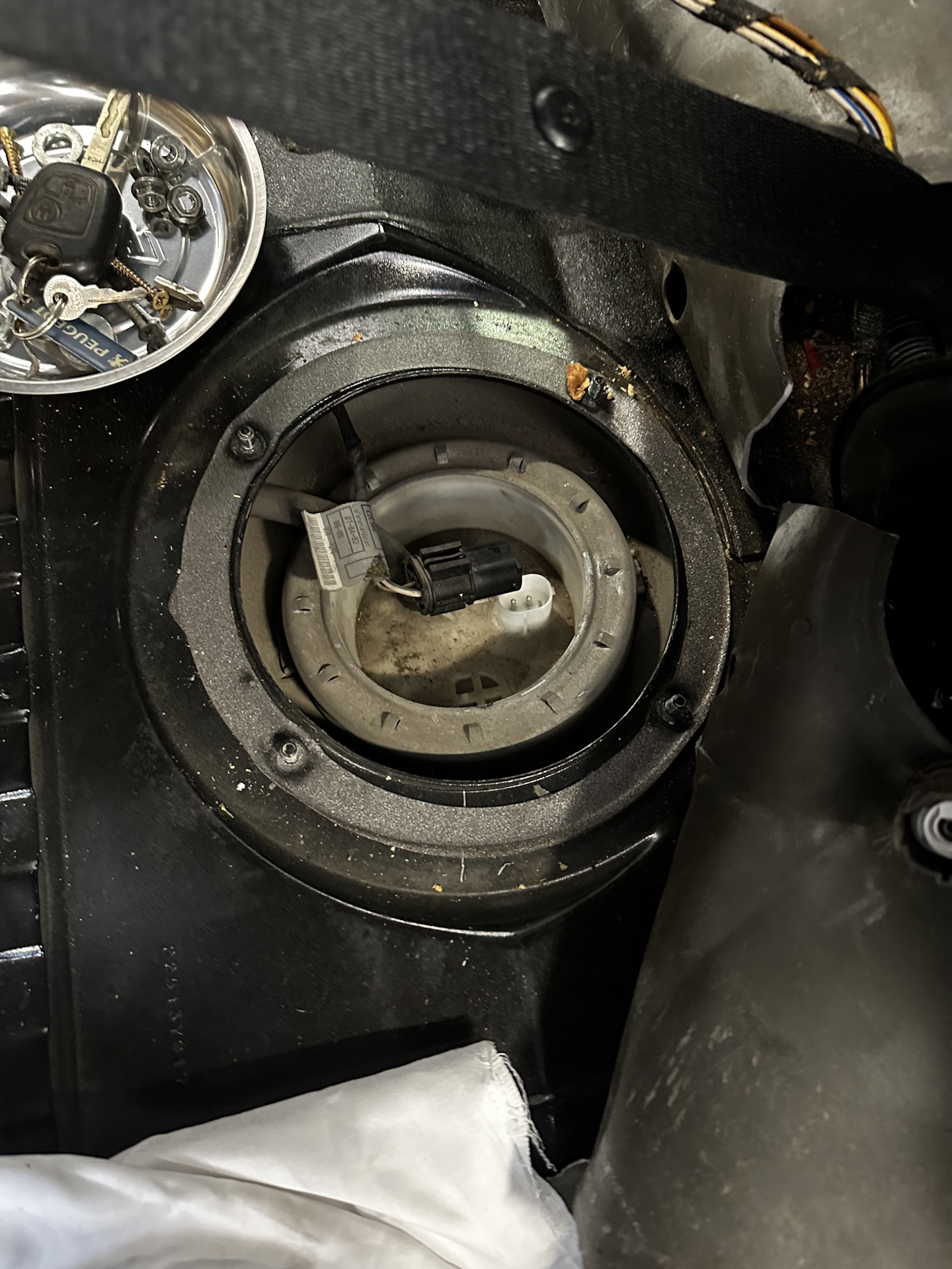 Ищем проблему «Fuel Injection System» — BMW X5 (E53), 3 л, 2002 года