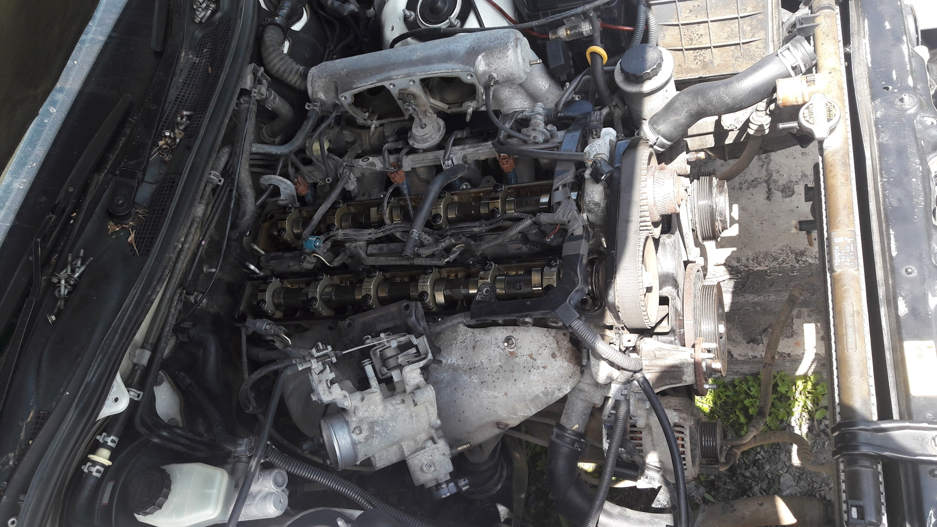 прокладка крышки клапанов 1jz ge. 2jz ge прокладка клапанной крышки. прокладка клапанной крышки 1jz ge 1003. прокладка клапанной крышки toyota 4p. прокладка клапанной крышки 1jz ge.