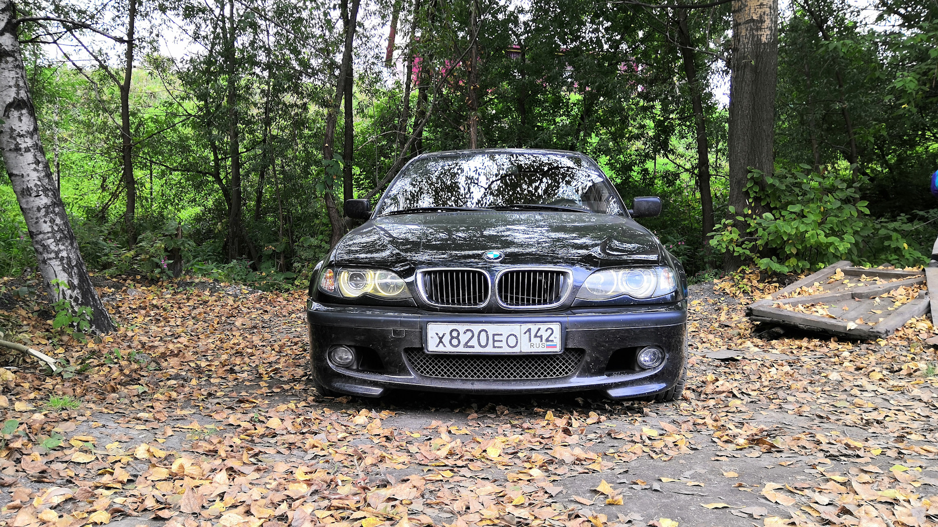 BMW 3 series Touring (E46) 2.5 бензиновый 2003 | сарай на DRIVE2