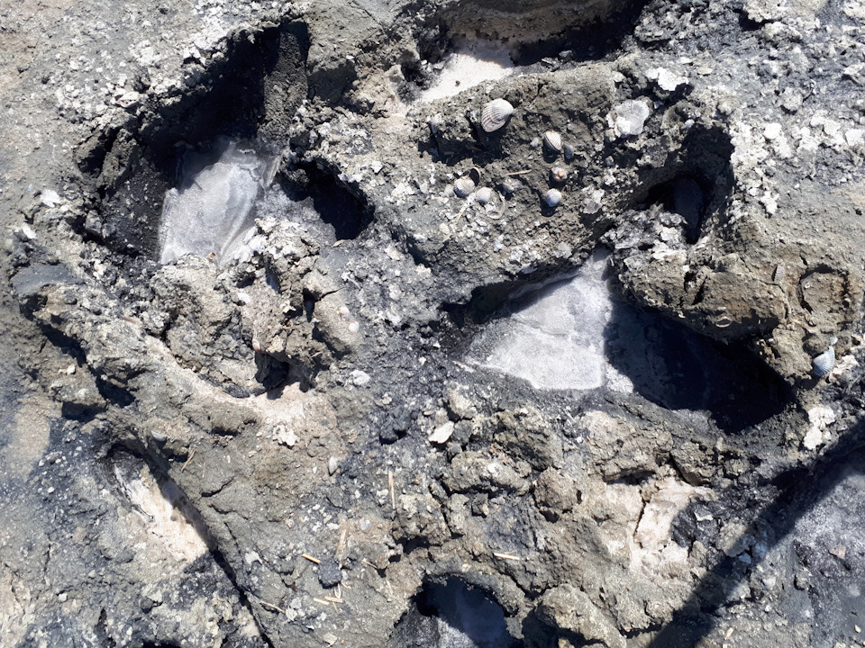 Замер 0-100 и средний расход! — Toyota Corolla (140/150), 1,6 л, 2008 ...