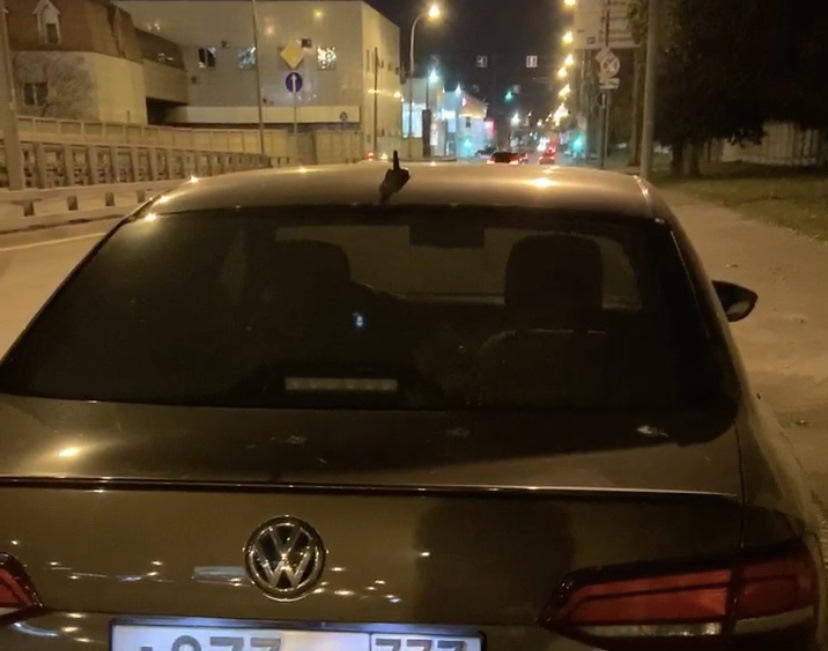 Проблемка с LED подсветкой номера — Volkswagen Jetta VI, 1,6 л, 2015 ...