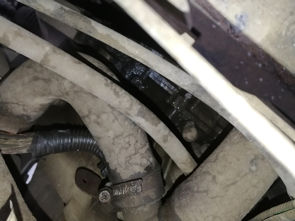 Пробило прокладку головки блока цилиндров. (Как оказалось, не пробило 😜 ...