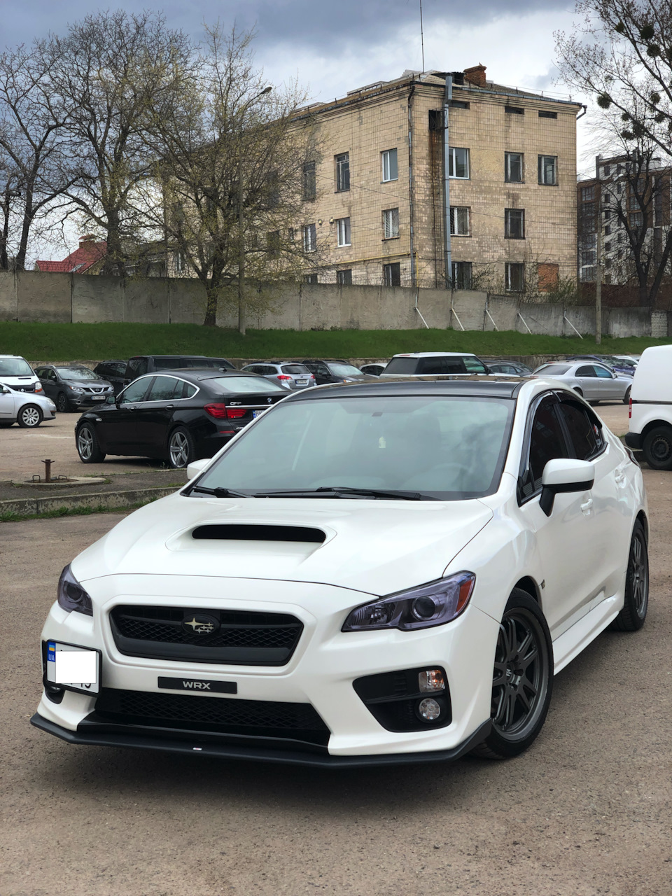 Черная пленка на крышу, оклейка передних и задних фонарей — Subaru WRX  (VA), 2 л, 2017 года | стайлинг | DRIVE2