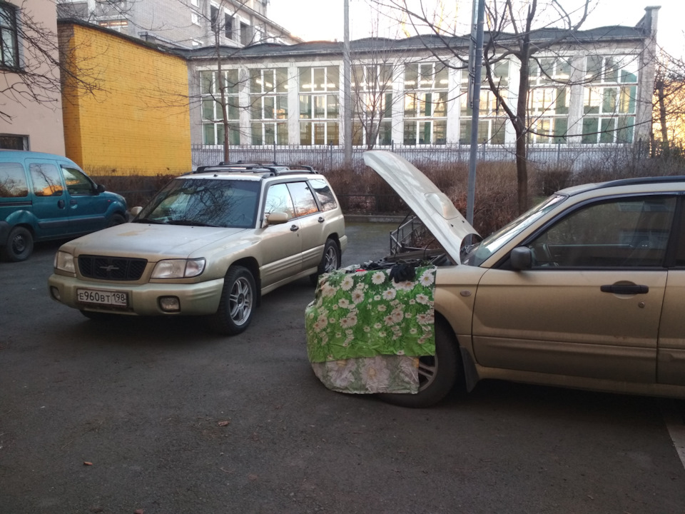 Фото в бортжурнале Subaru Forester (SG)