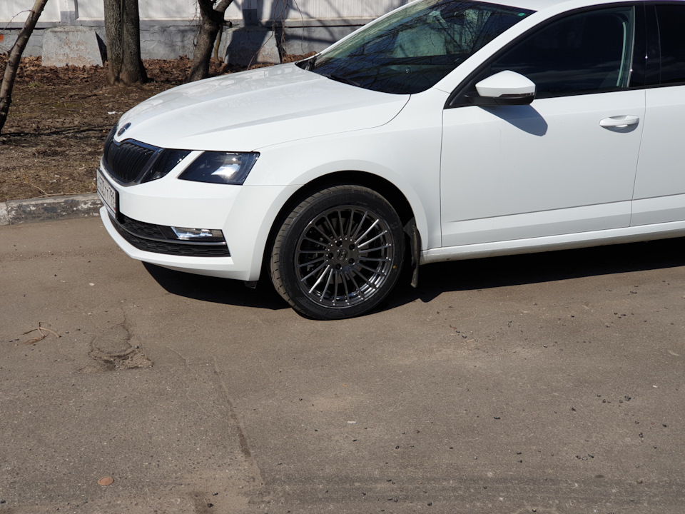 Общий вид :) — Skoda Octavia A7 Mk3