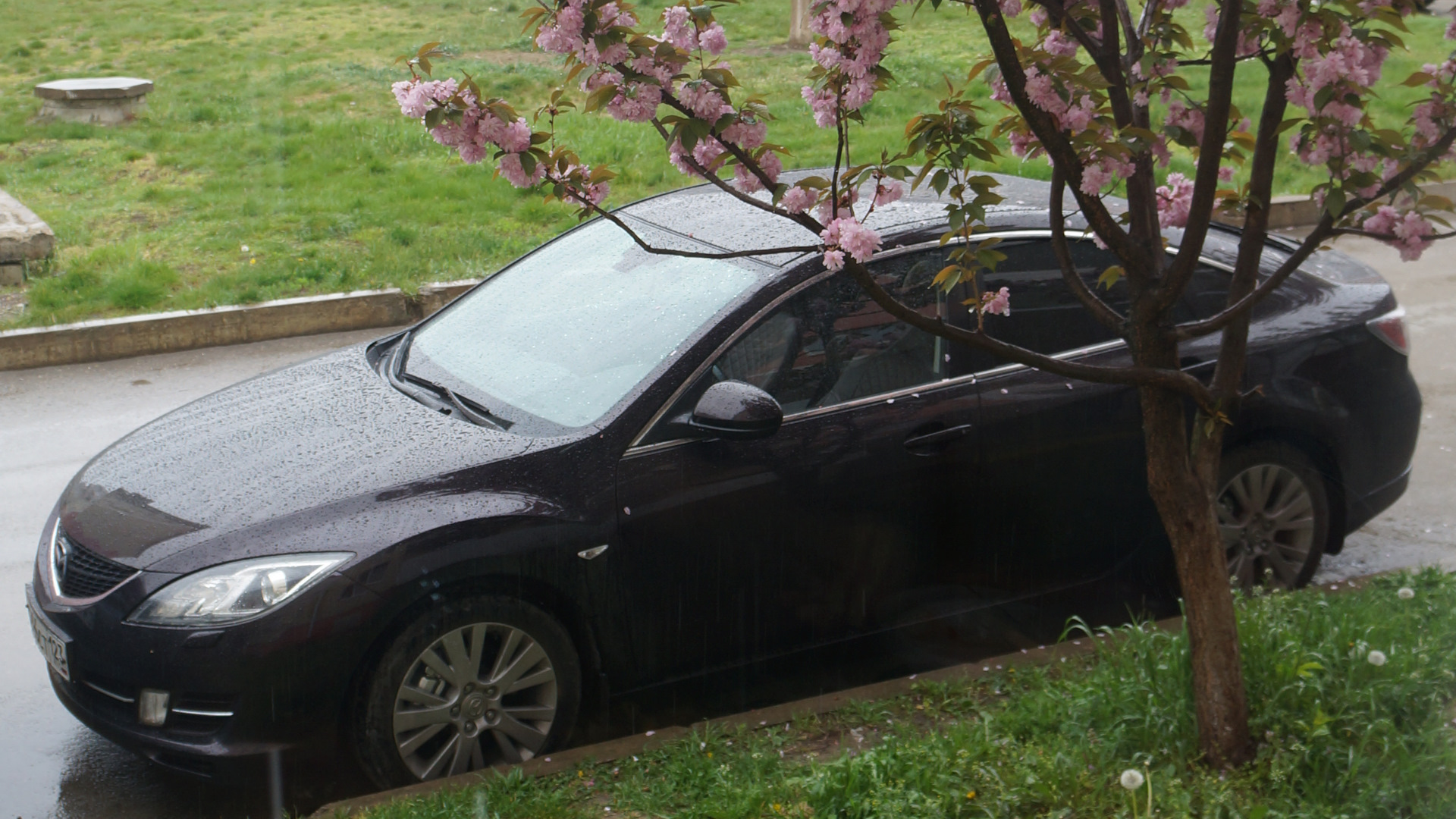 Mazda 6 (2G) GH 2.0 бензиновый 2008 | (пыльная вишня) на DRIVE2
