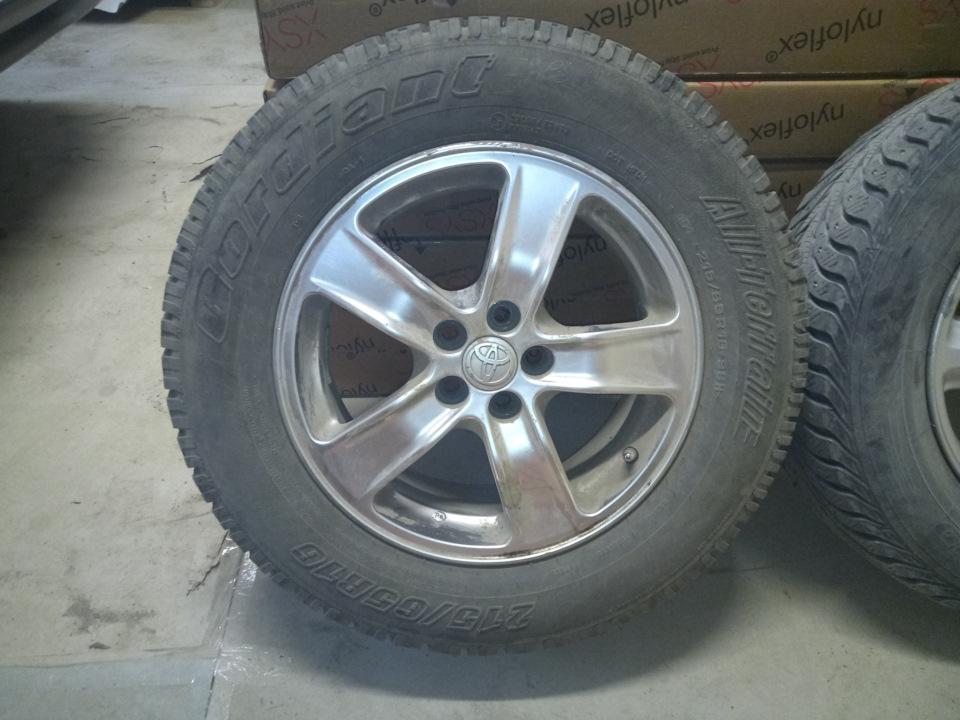 … — Subaru Forester (SG)