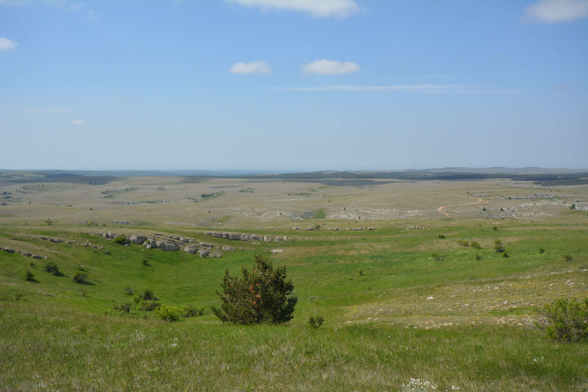 Купить Сено В Бахчисарайском Районе