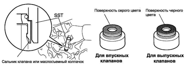 Маслосъемные колпачки на схеме двигателя