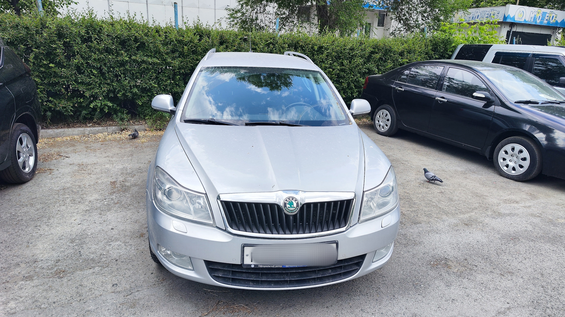 Skoda Octavia Combi A5 Mk2 1.8 бензиновый 2013 | Сикота на DRIVE2