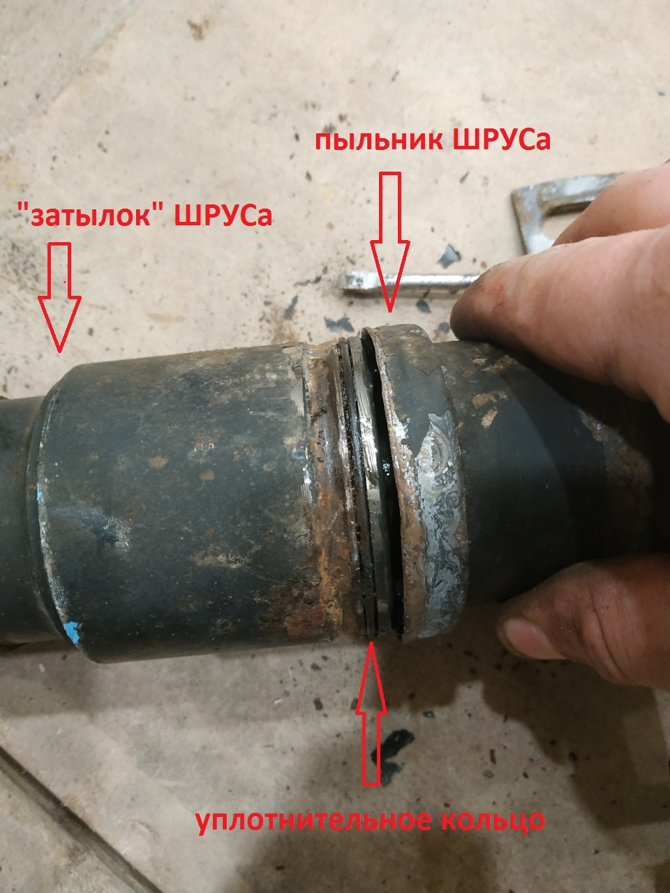 Пыльник Кардана Рено Дастер Купить