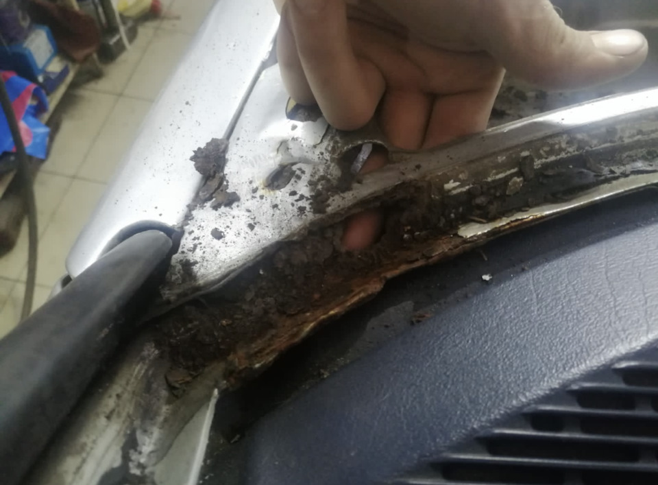 Фото в бортжурнале Mercedes-Benz W123