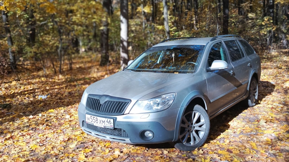 Skoda Octavia Scout Бежевый 1.8т