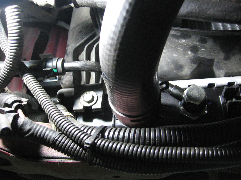 шевроле лачетти какая акпп. Смотреть фото шевроле лачетти какая акпп. Смотреть картинку шевроле лачетти какая акпп. Картинка про шевроле лачетти какая акпп. Фото шевроле лачетти какая акпп шевроле лачетти какая акпп. Смотреть фото шевроле лачетти какая акпп. Смотреть картинку шевроле лачетти какая акпп. Картинка про шевроле лачетти какая акпп. Фото шевроле лачетти какая акпп