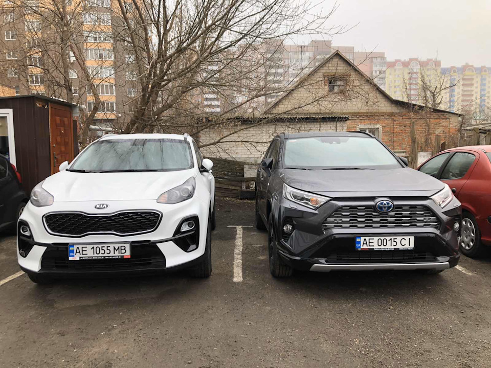 Спортейдж или рав 4. Rav4 vs Sportage. Карок или Спортейдж.