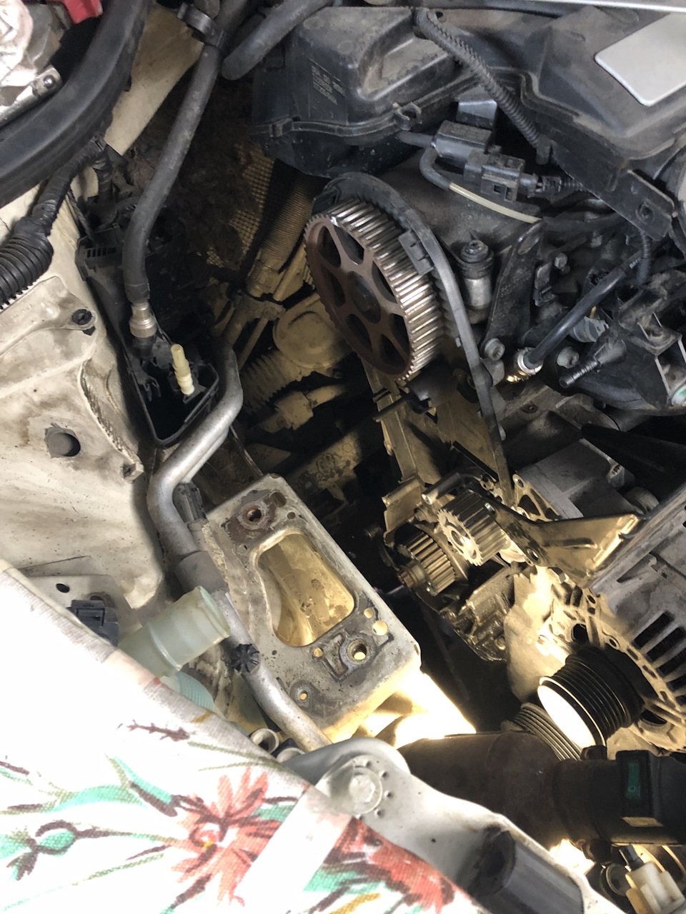Замена ГРМ в сборе. — Skoda Octavia A5 Mk2, 1,6 л, 2011 года | плановое ...