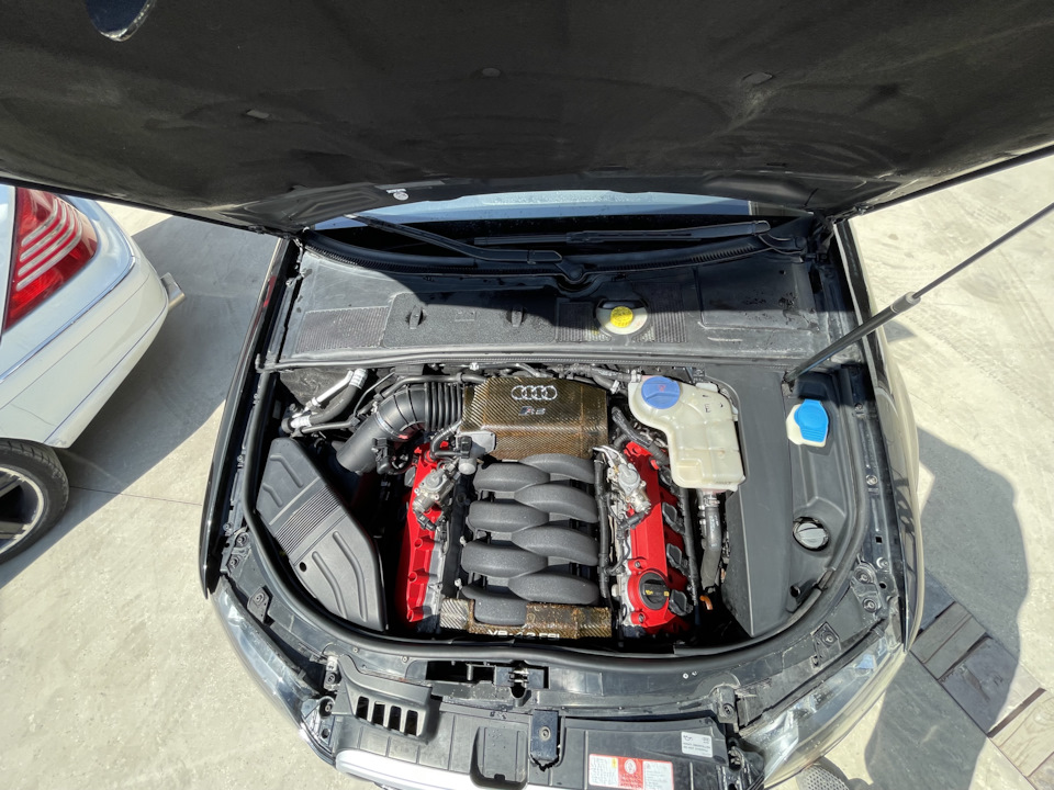 Фото в бортжурнале Audi RS4 (B7)