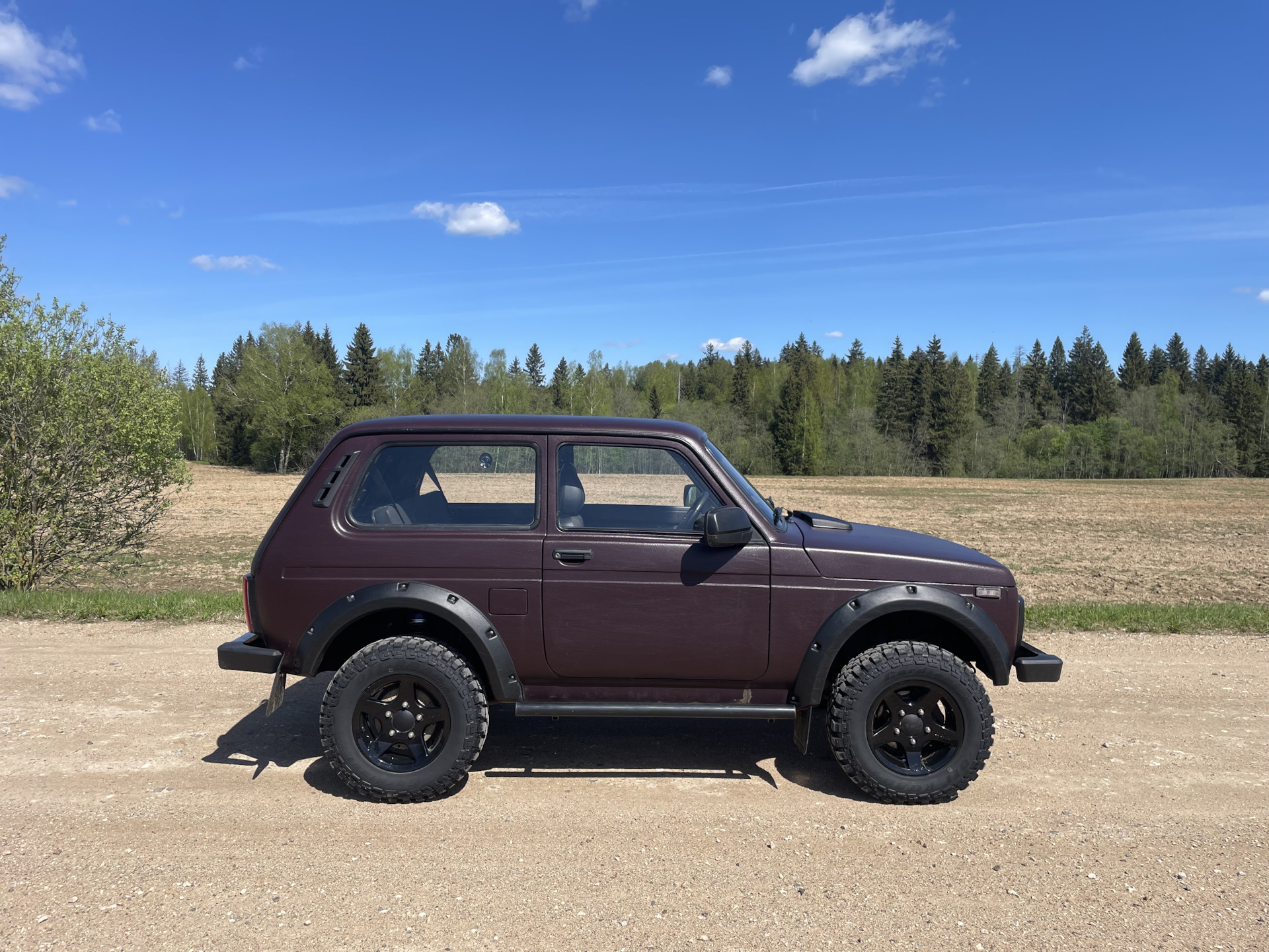 1️⃣6️⃣✔️Отвязка и самоблок РПМ и лифт +30мм — Lada 4x4 3D, 1,7 л, 2012 года  | тюнинг | DRIVE2