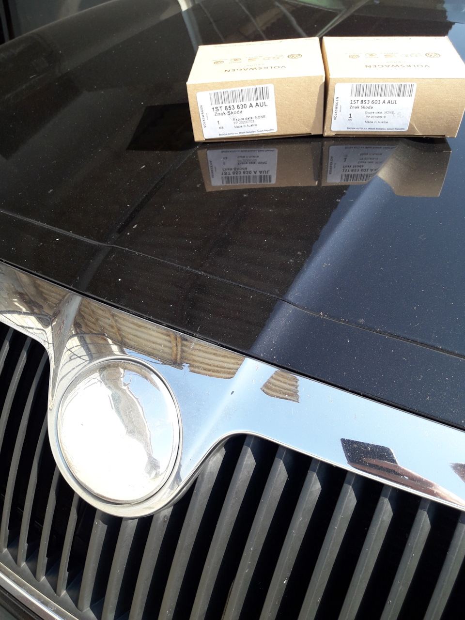 1ST853630AAUL Эмблема Skoda VAG | Запчасти на DRIVE2