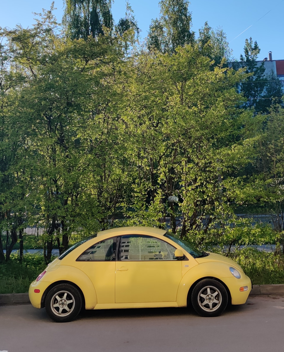 Покупка — Volkswagen New Beetle, 2 л, 2001 года | покупка машины | DRIVE2