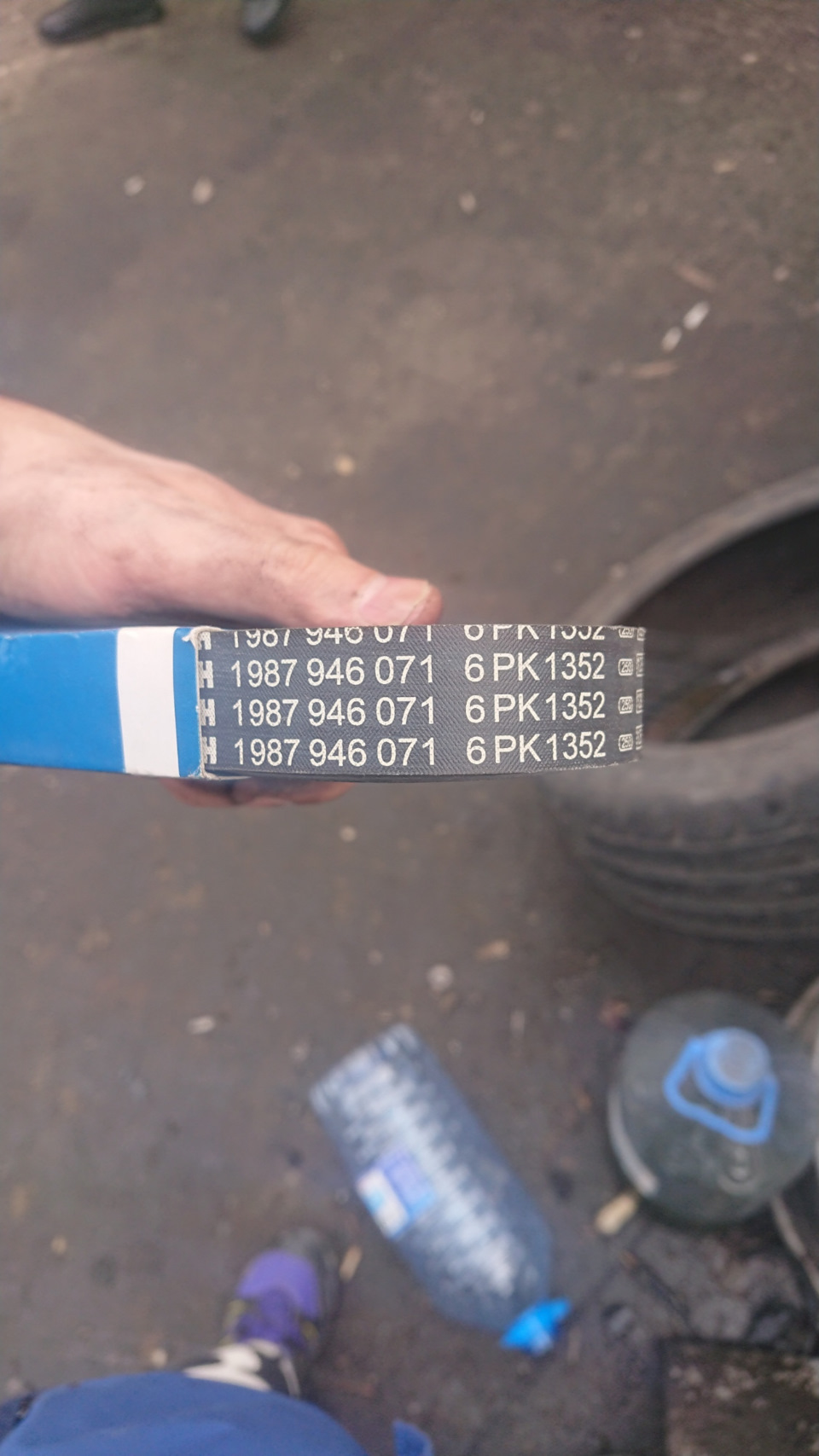 Фото в бортжурнале Mercedes-Benz C-Class (W203). Запчасти на фото: 1987946071, 6PK1352