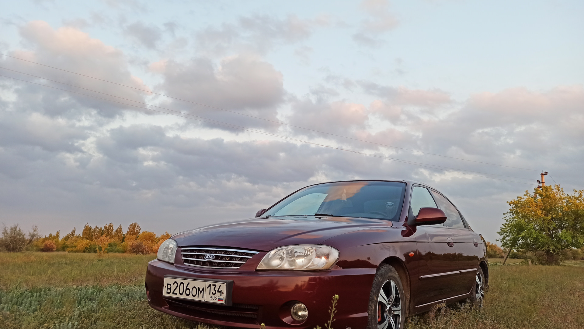 KIA Spectra 1.6 бензиновый 2008 | 