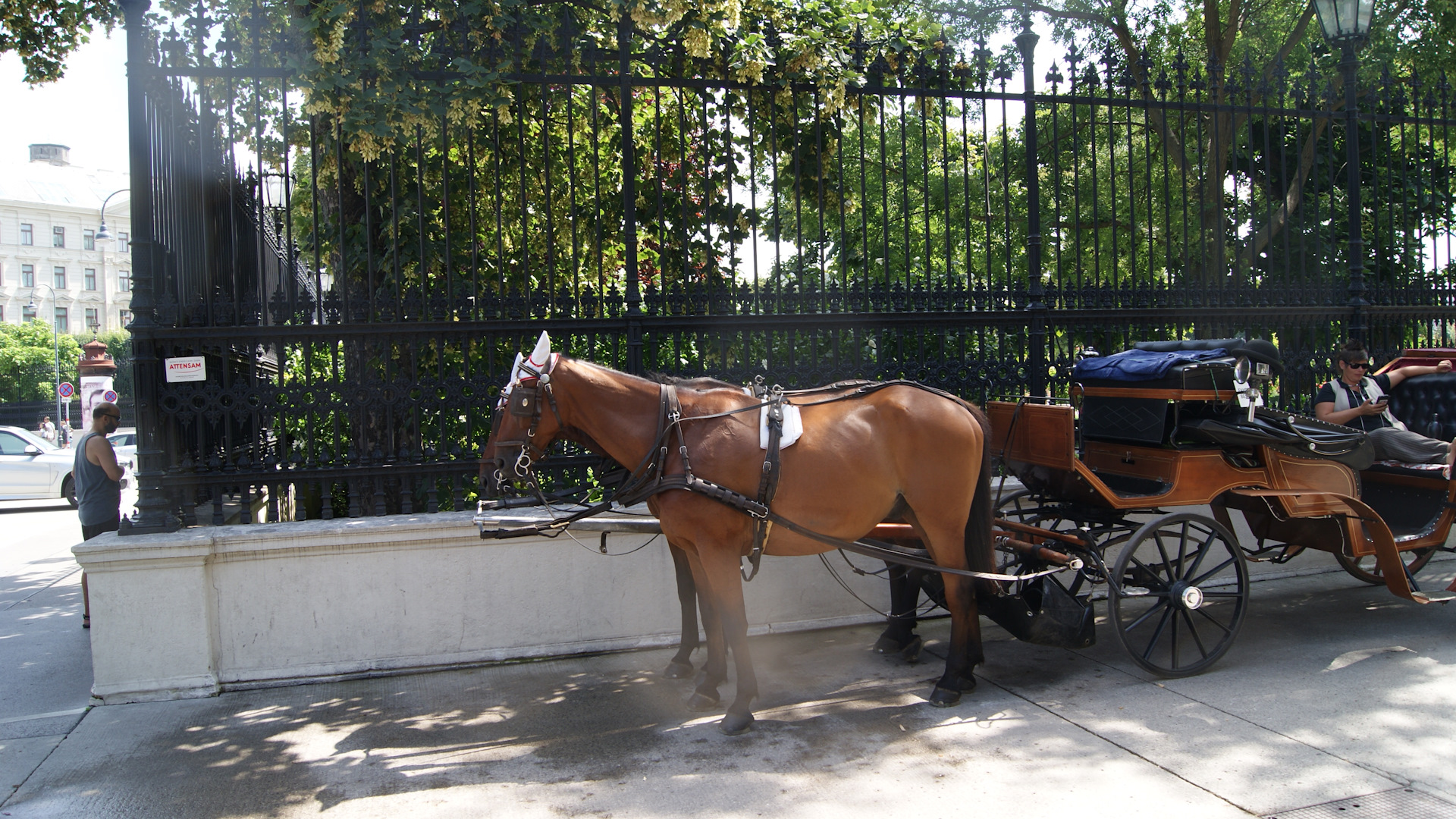 Ремень ГРМ. Последствия и затраты при обрыве ремня ГРМ. — Chrysler PT ...