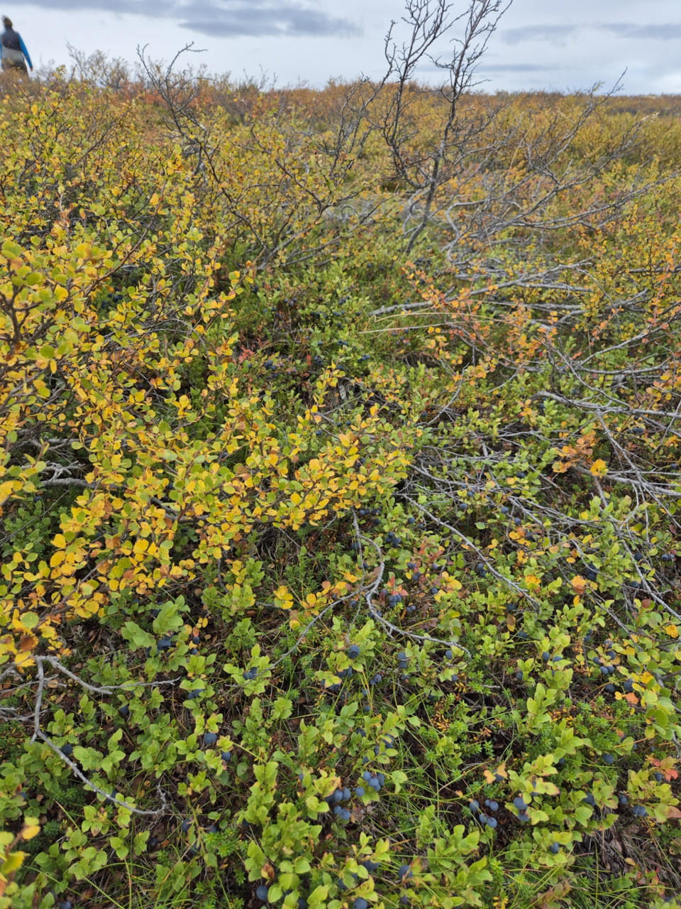 Фото в бортжурнале Volvo XC70 III