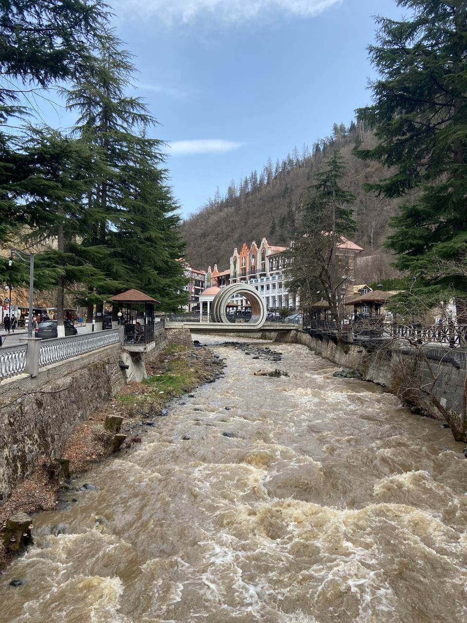 Поздно пить Borjomi!