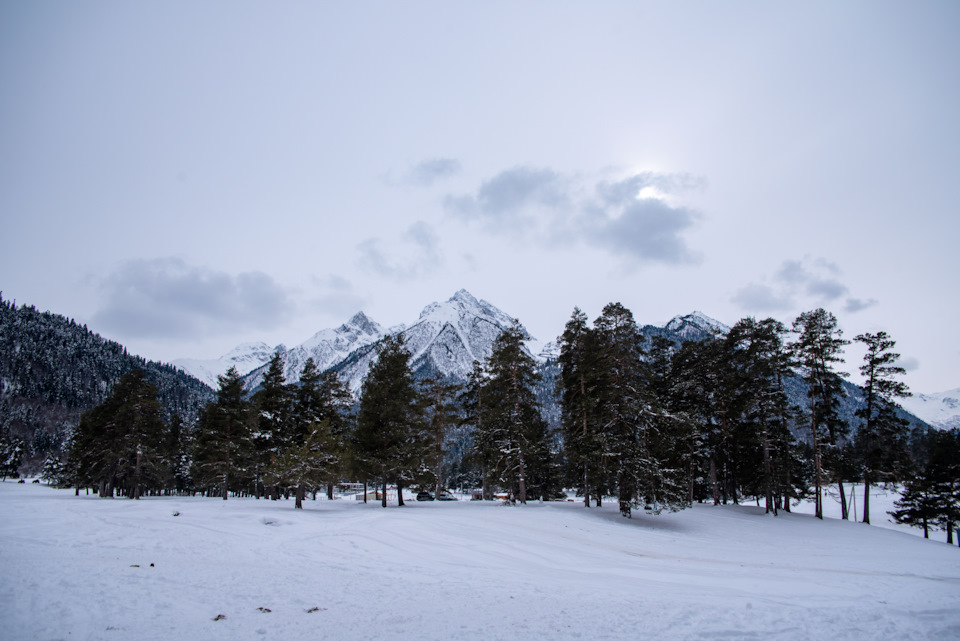 зимняя полянка. снежное поле елки лесом. поляны снеговые. поляны снеговые. снег поляна.